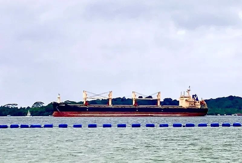 V STAR Bulk Carrier IMO 9598048 photo 5