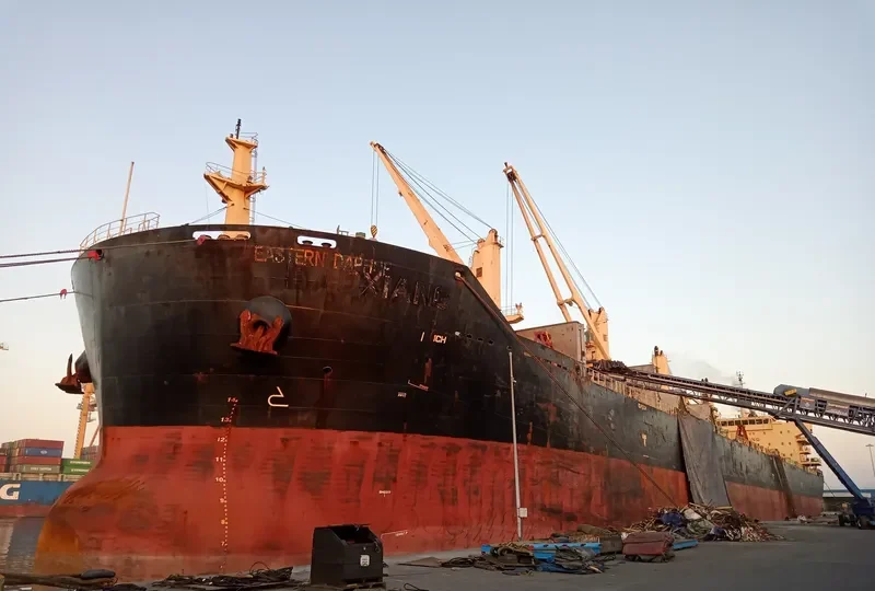 EASTERN DAPHNE Bulk Carrier IMO 9598050 photo 6