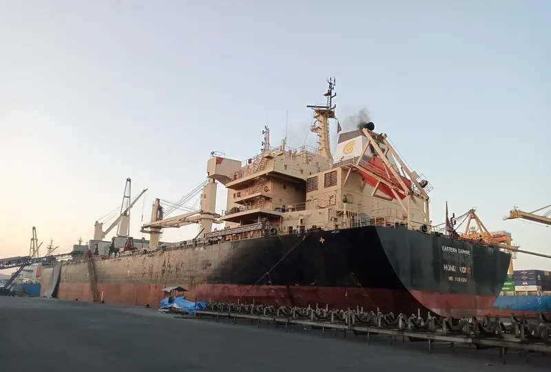 EASTERN DAPHNE Bulk Carrier IMO 9598050 photo 7