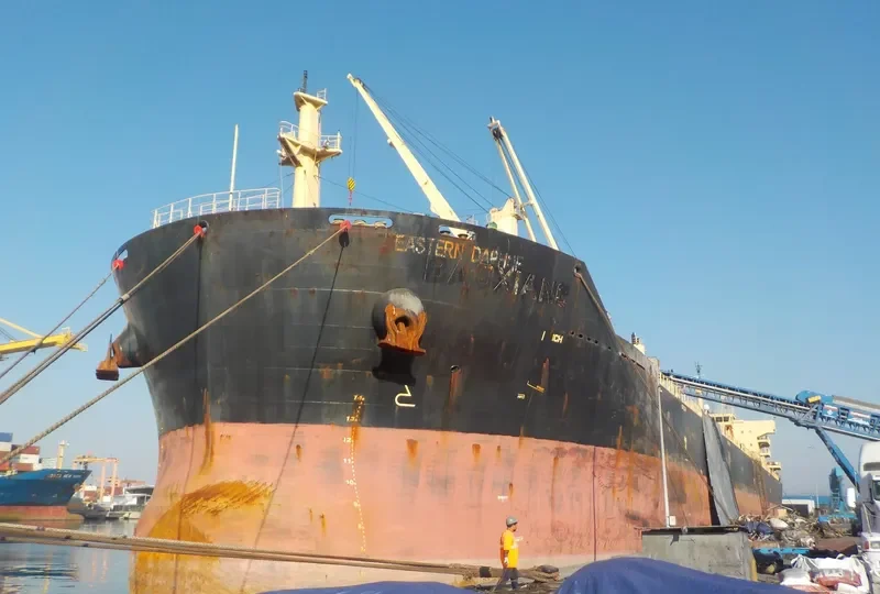 EASTERN DAPHNE Bulk Carrier IMO 9598050 photo 8