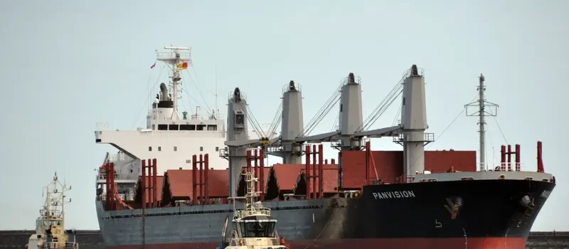 DIONE Bulk Carrier IMO 9598086 photo 4