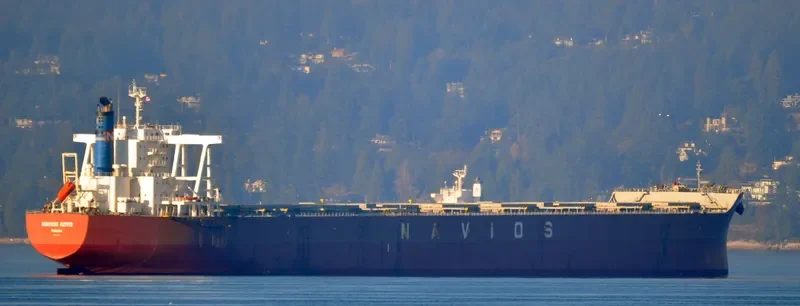 NAVIOS KOYO Bulk Carrier IMO 9598127