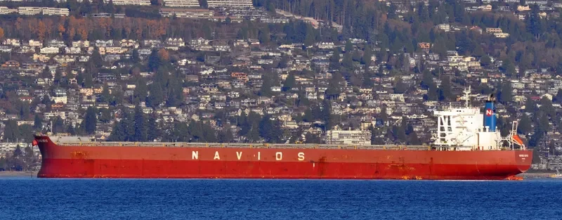 NAVIOS KOYO Bulk Carrier IMO 9598127 photo 3