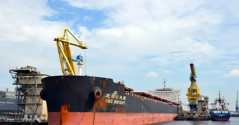 BBG BRIGHT Bulk Carrier IMO 9598177 photo 4