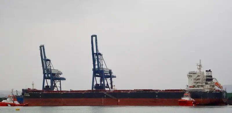 BBG ENDEAVOR Bulk Carrier IMO 9598189 photo 4