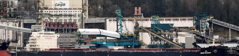 NEW HONOR Bulk Carrier IMO 9598191