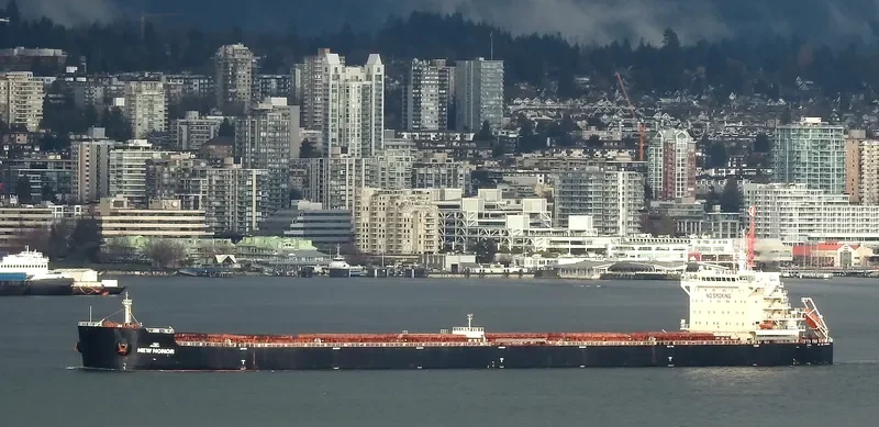 NEW HONOR Bulk Carrier IMO 9598191 photo 2