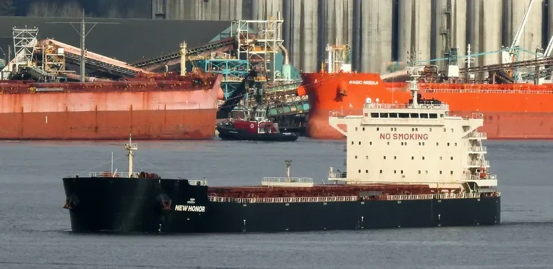 NEW HONOR Bulk Carrier IMO 9598191 photo 3