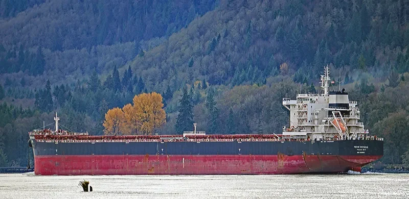NEW HONOR Bulk Carrier IMO 9598191 photo 6