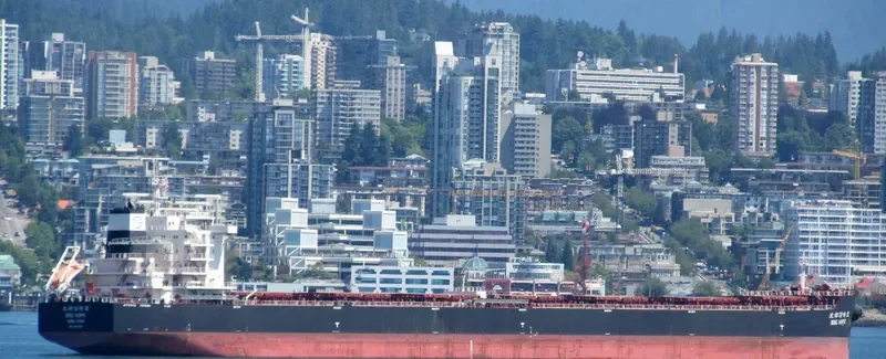 NEW PRESTIGE Bulk Carrier IMO 9598206