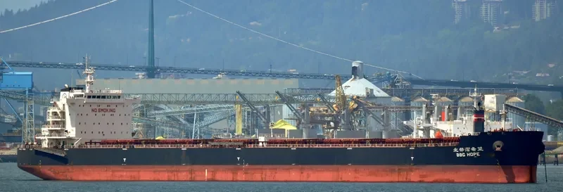 NEW PRESTIGE Bulk Carrier IMO 9598206 photo 10
