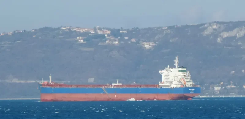 SEA GEMINI Bulk Carrier IMO 9598218 photo 2
