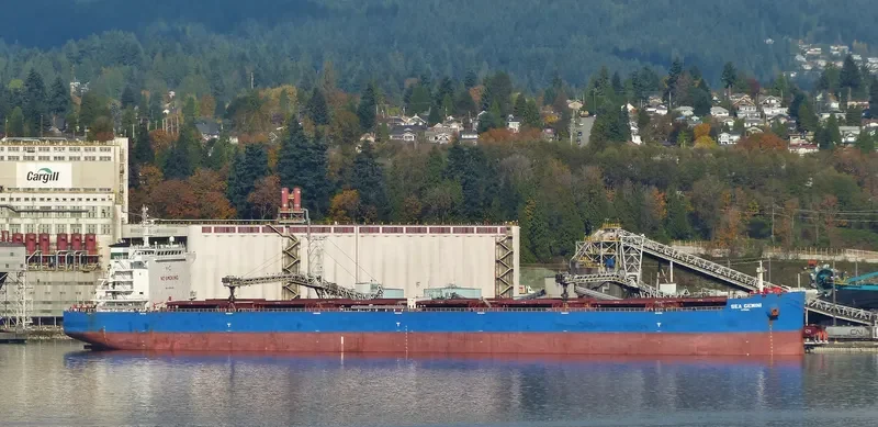 SEA GEMINI Bulk Carrier IMO 9598218 photo 6