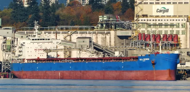 SEA GEMINI Bulk Carrier IMO 9598218 photo 7