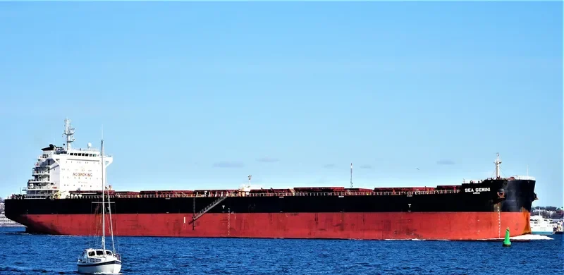SEA GEMINI Bulk Carrier IMO 9598218 photo 10