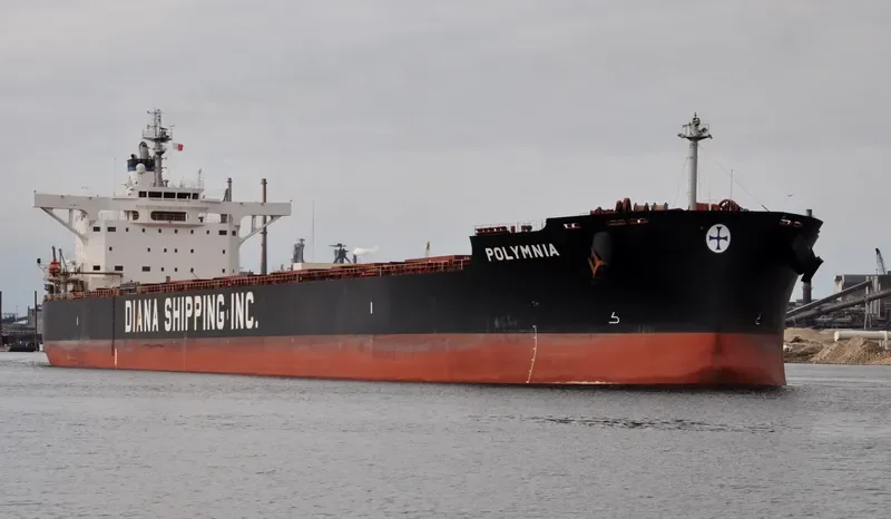 POLYMNIA Bulk Carrier IMO 9598660 photo 3