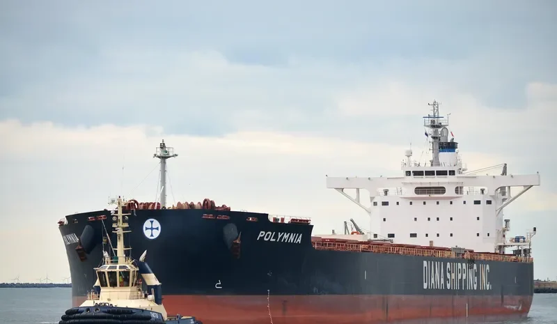 POLYMNIA Bulk Carrier IMO 9598660 photo 4