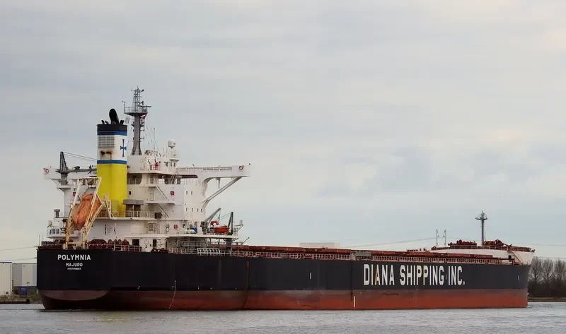 POLYMNIA Bulk Carrier IMO 9598660 photo 9