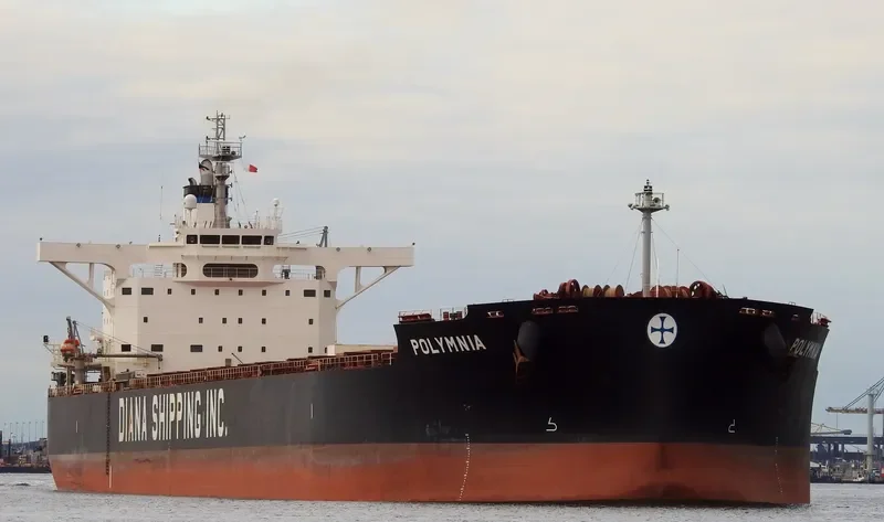 POLYMNIA Bulk Carrier IMO 9598660 photo 10