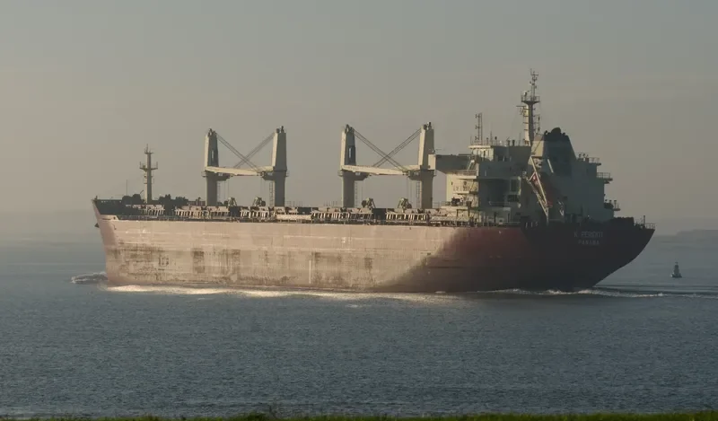 PERIDOT Bulk Carrier IMO 9598725 photo 3