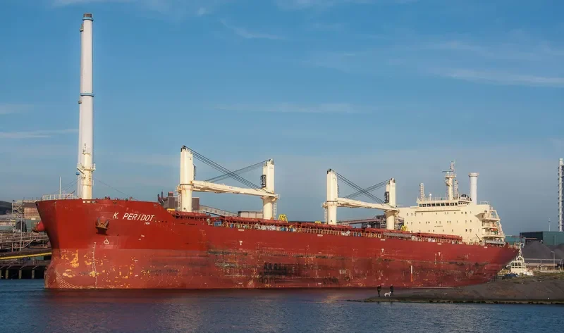 PERIDOT Bulk Carrier IMO 9598725 photo 9