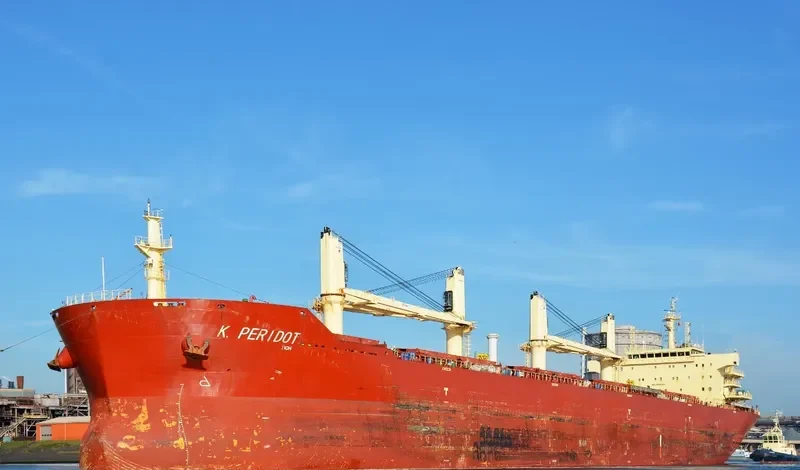 PERIDOT Bulk Carrier IMO 9598725 photo 10