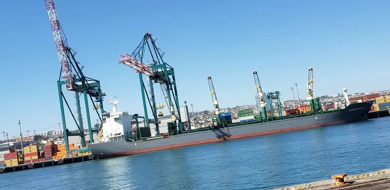 DORTHE OLDENDORFF General Cargo IMO 9598921