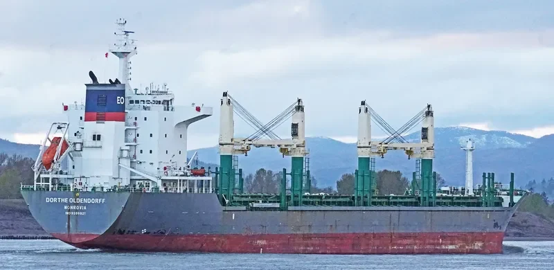 DORTHE OLDENDORFF General Cargo IMO 9598921 photo 2