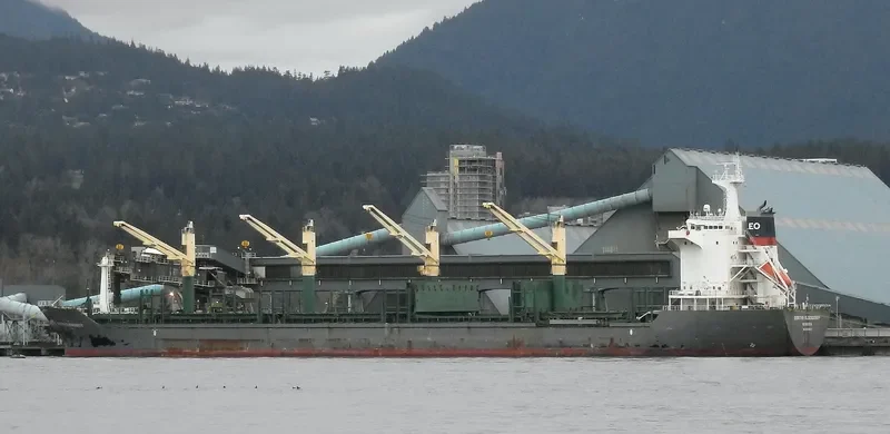 DORTHE OLDENDORFF General Cargo IMO 9598921 photo 5
