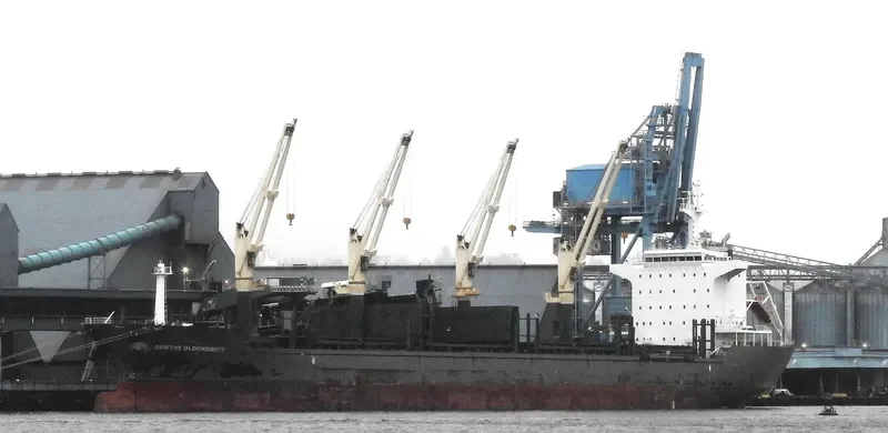 DORTHE OLDENDORFF General Cargo IMO 9598921 photo 6