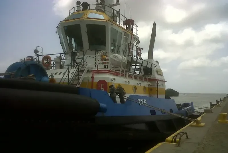 TYR General Cargo IMO 9598983 photo 4