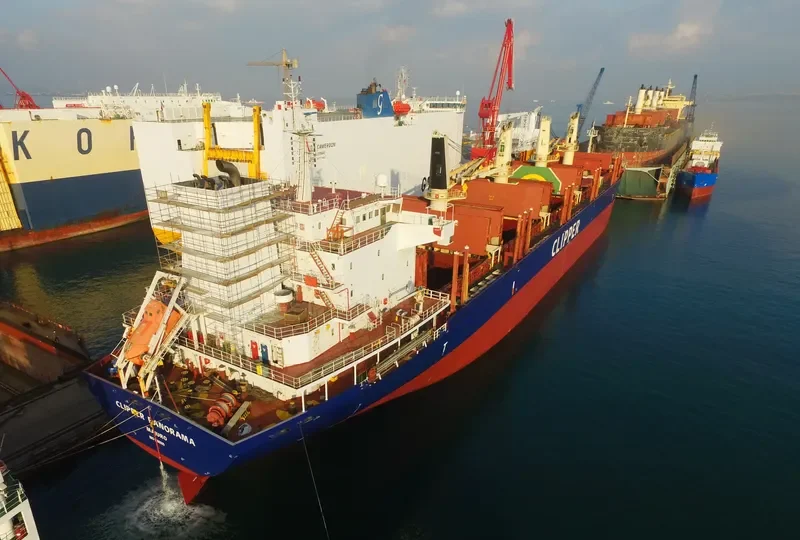 CLIPPER PANORAMA Bulk Carrier IMO 9598995