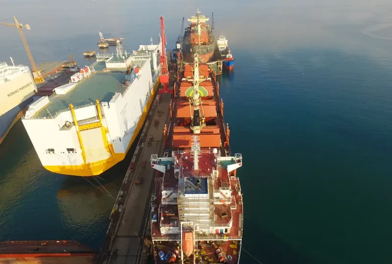 CLIPPER PANORAMA Bulk Carrier IMO 9598995 photo 2