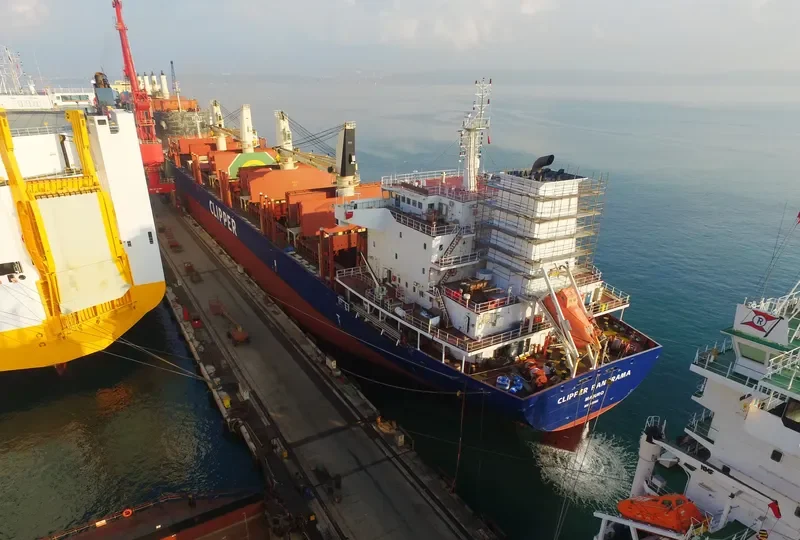 CLIPPER PANORAMA Bulk Carrier IMO 9598995 photo 3