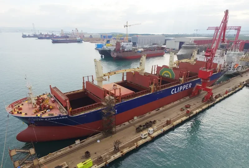 CLIPPER PANORAMA Bulk Carrier IMO 9598995 photo 4
