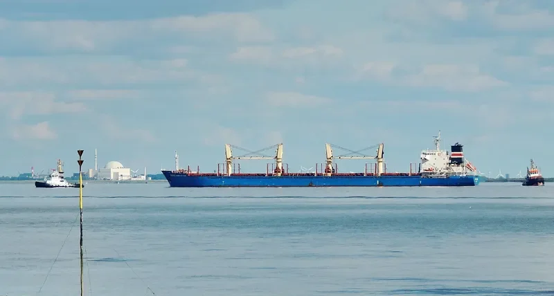 CLIPPER PANORAMA Bulk Carrier IMO 9598995 photo 7
