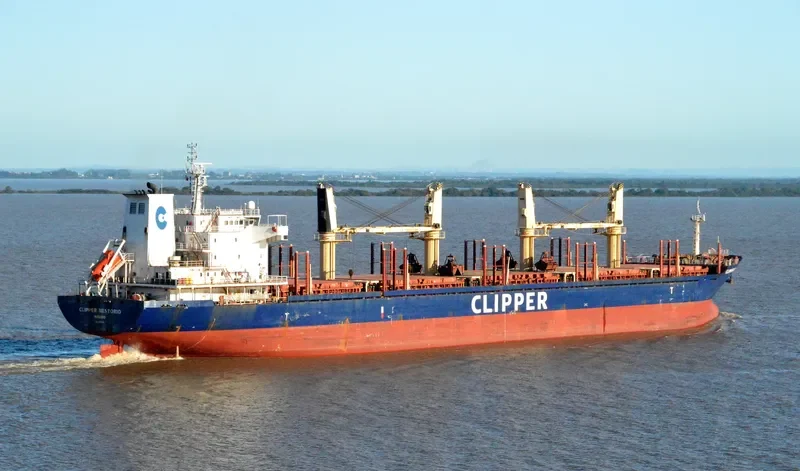NESTOR I Bulk Carrier IMO 9599016 photo 2