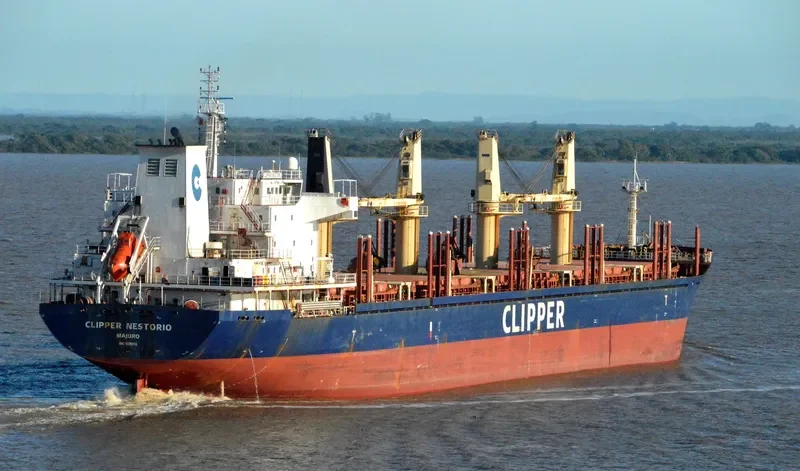 NESTOR I Bulk Carrier IMO 9599016 photo 3