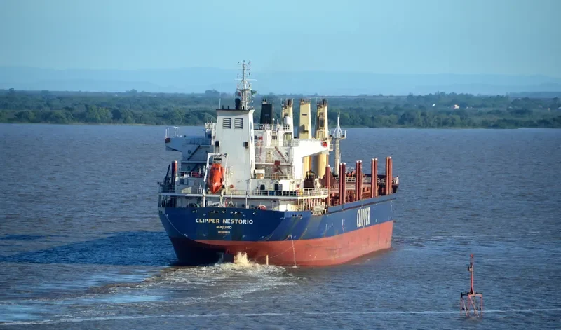 NESTOR I Bulk Carrier IMO 9599016 photo 4