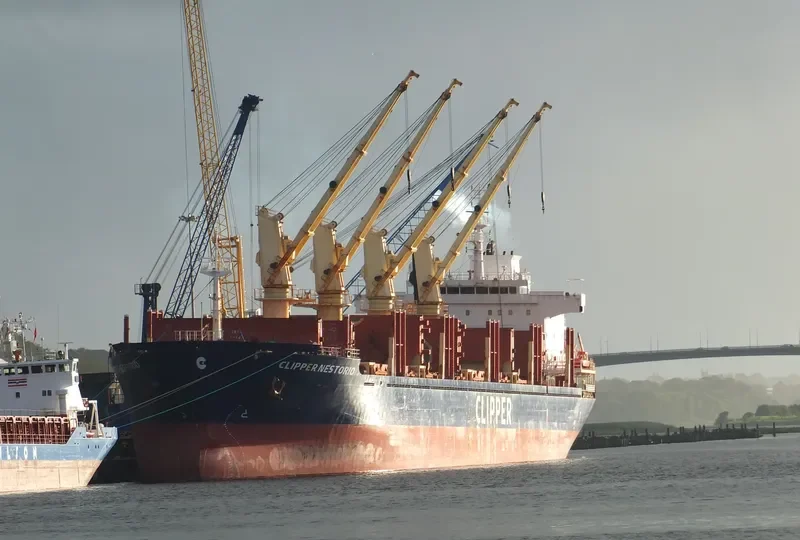 NESTOR I Bulk Carrier IMO 9599016 photo 8
