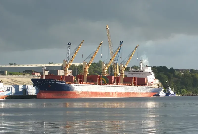 NESTOR I Bulk Carrier IMO 9599016 photo 9