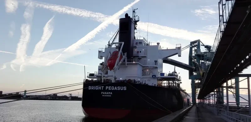 BRIGHT PEGASUS Bulk Carrier IMO 9599080