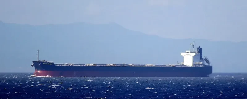 BRIGHT PEGASUS Bulk Carrier IMO 9599080 photo 2
