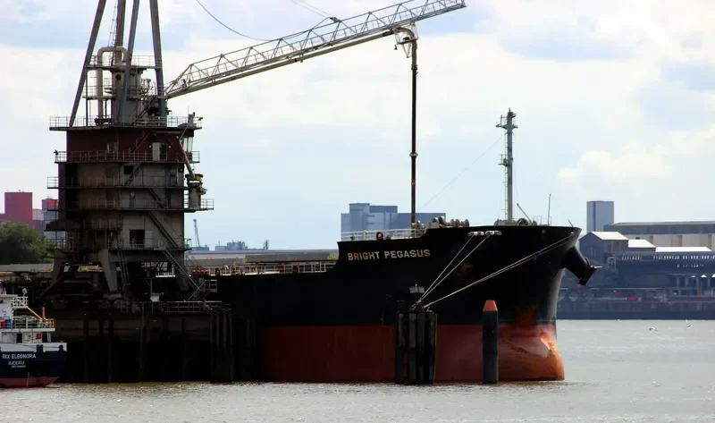 BRIGHT PEGASUS Bulk Carrier IMO 9599080 photo 3