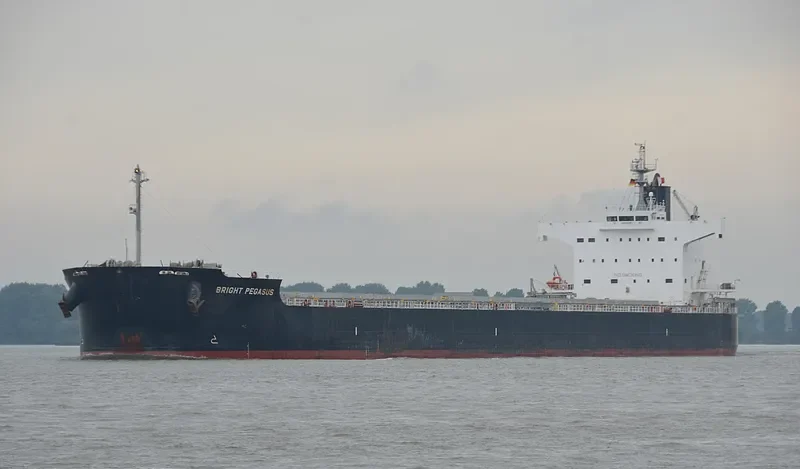 BRIGHT PEGASUS Bulk Carrier IMO 9599080 photo 4