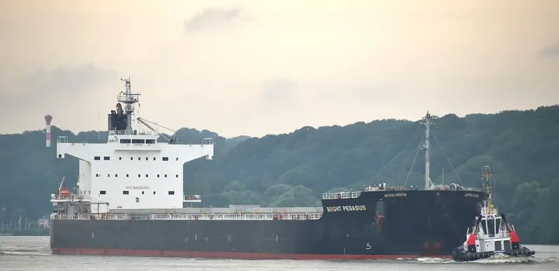 BRIGHT PEGASUS Bulk Carrier IMO 9599080 photo 5