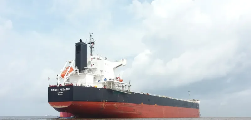 BRIGHT PEGASUS Bulk Carrier IMO 9599080 photo 9