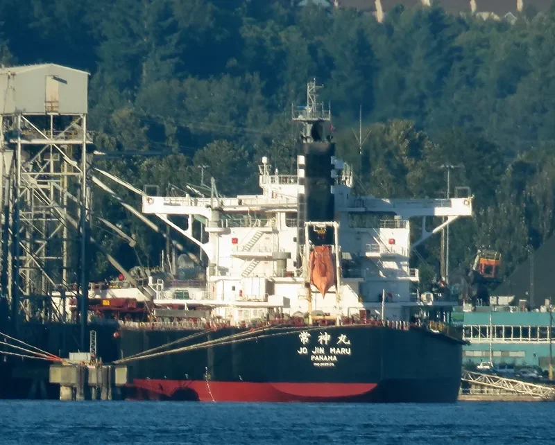 JO JIN MARU Bulk Carrier IMO 9599133 photo 2