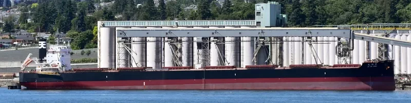 JO JIN MARU Bulk Carrier IMO 9599133 photo 4