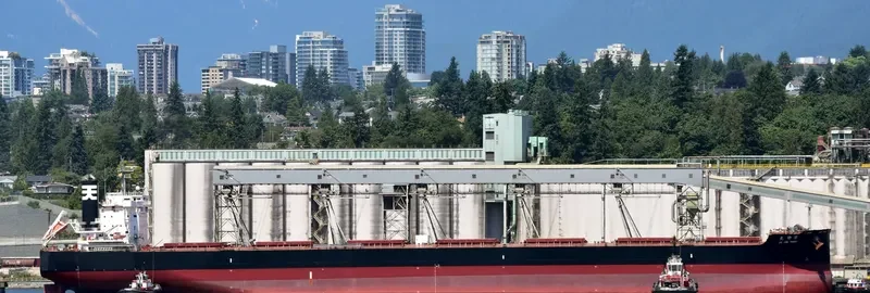 JO JIN MARU Bulk Carrier IMO 9599133 photo 5
